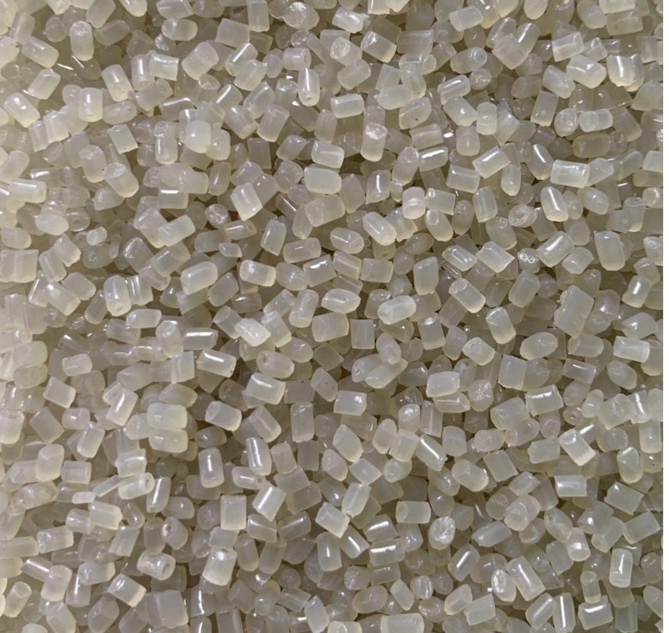 rPP recycled pellets